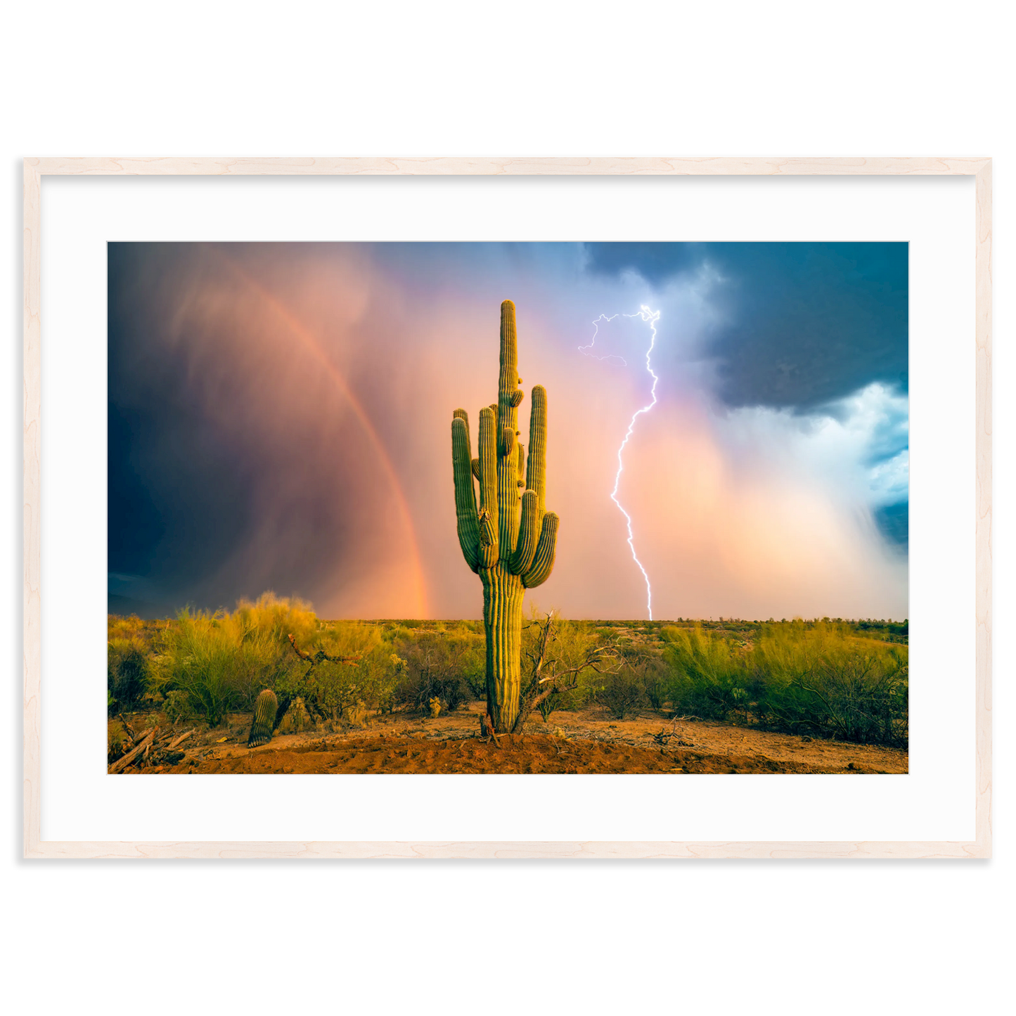 Sonoran Summer by Sean Parker