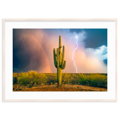 Sonoran Summer by Sean Parker