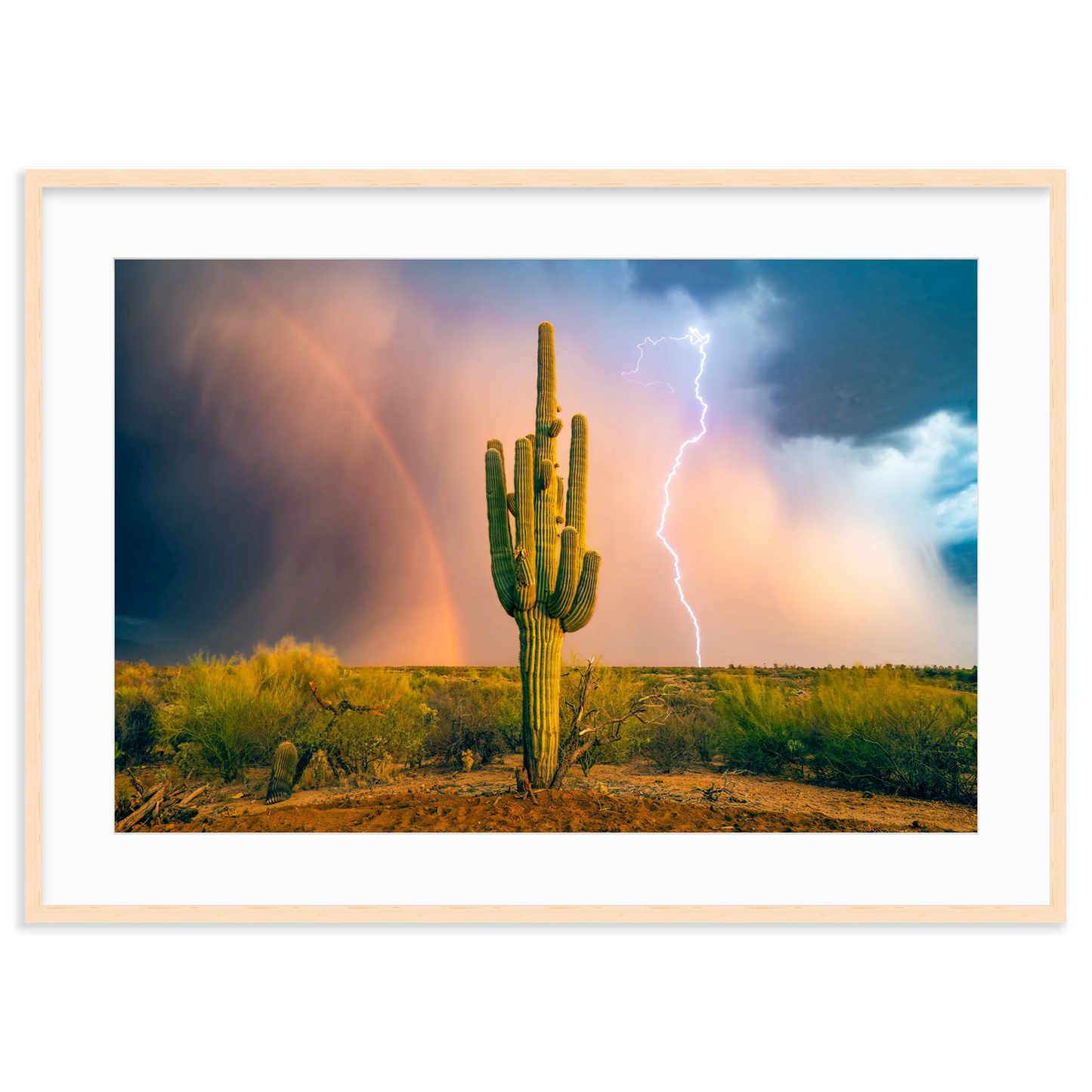Sonoran Summer by Sean Parker