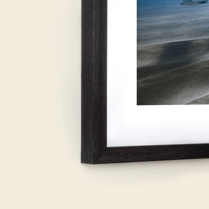 Shallow Fever by Kelsey Williamson