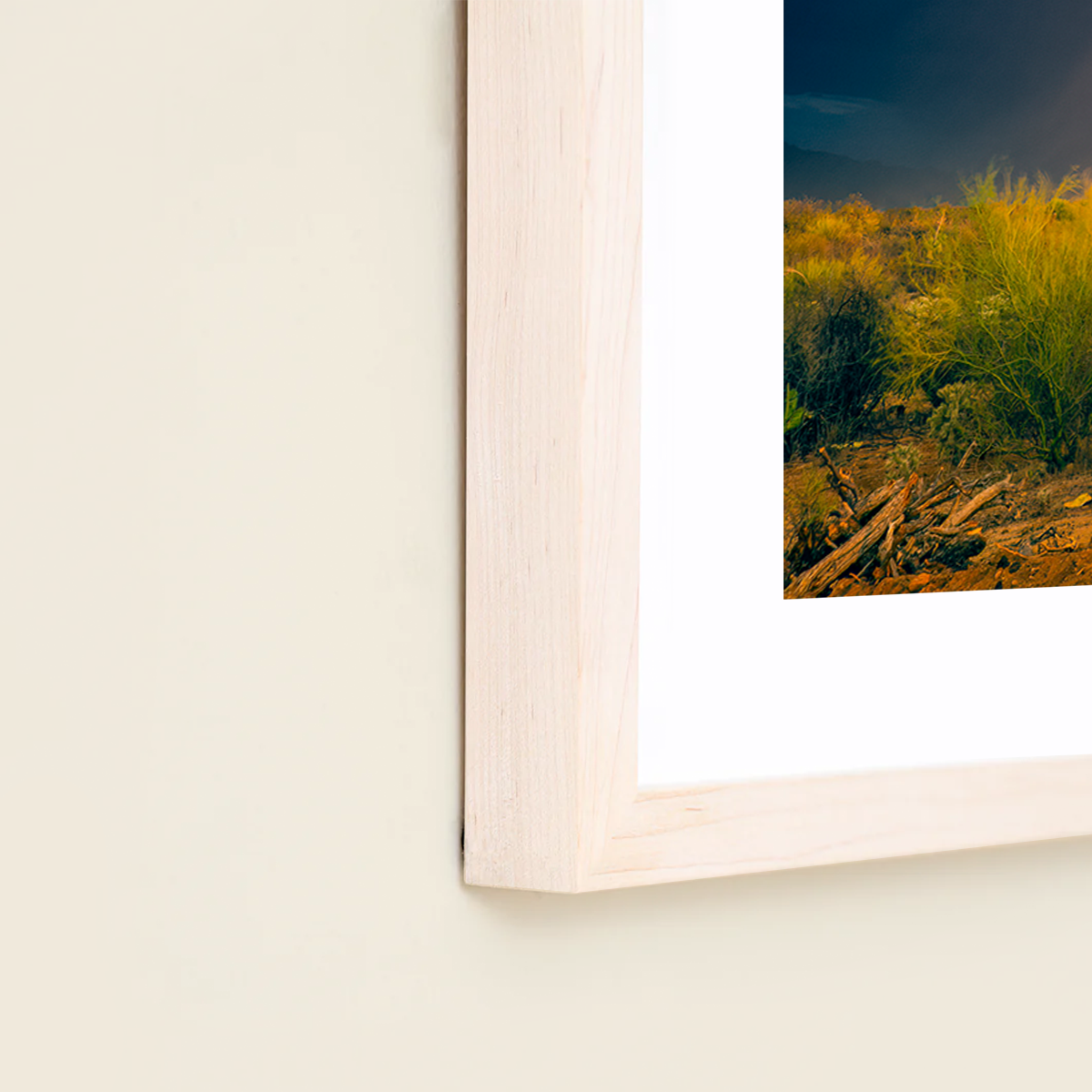 Sonoran Summer by Sean Parker