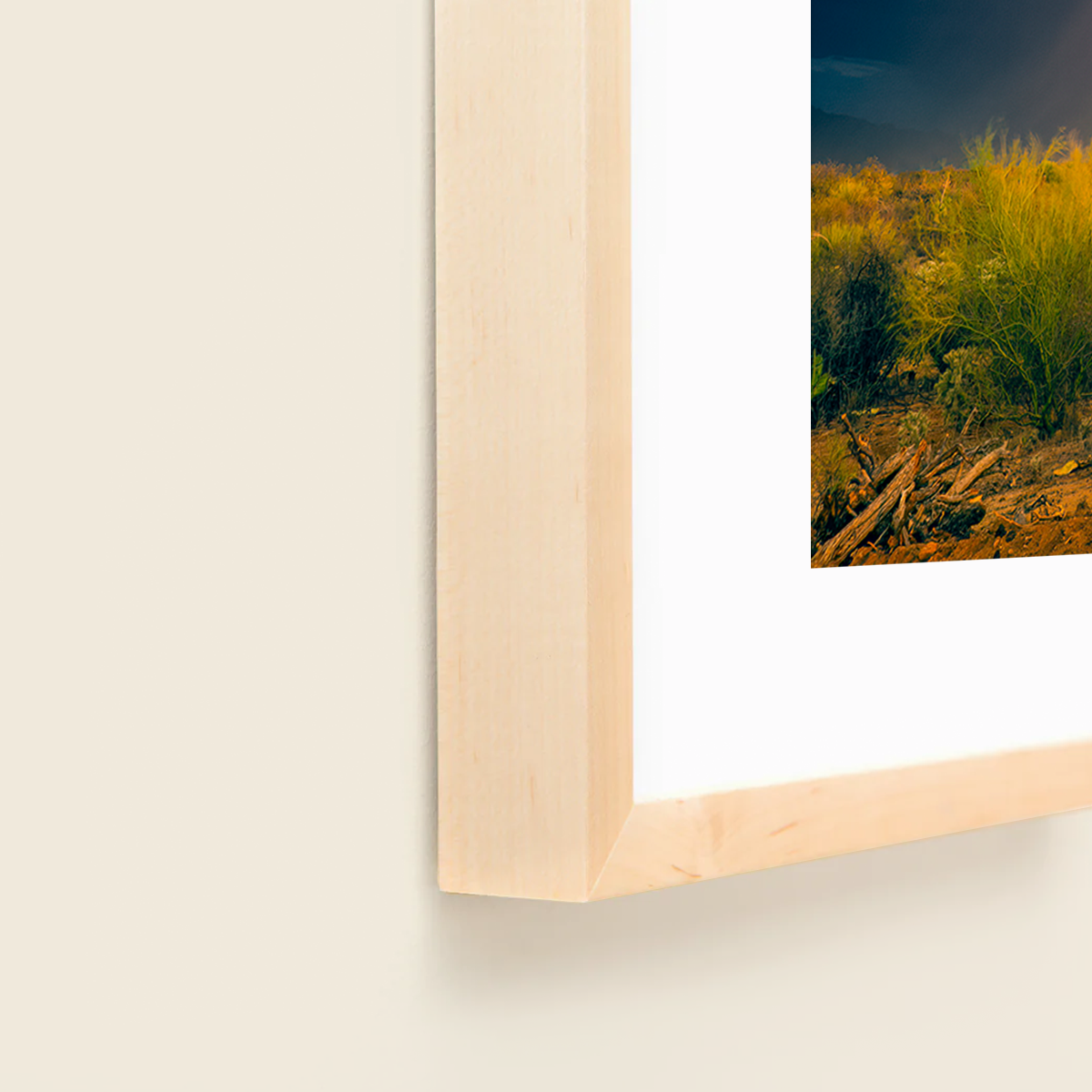 Sonoran Summer by Sean Parker