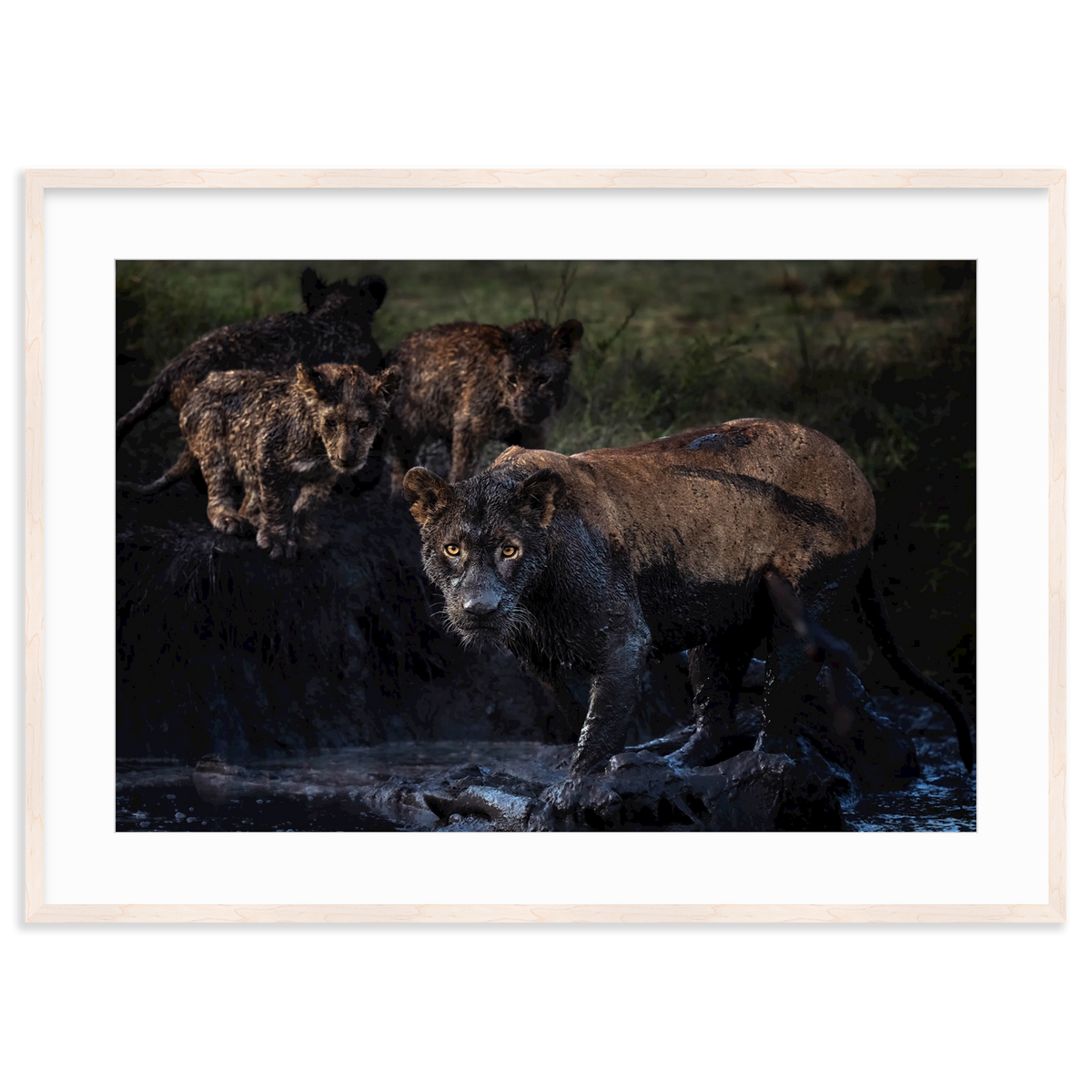 The Mud Clan by Merche Llobera