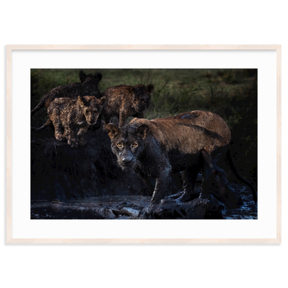 The Mud Clan by Merche Llobera