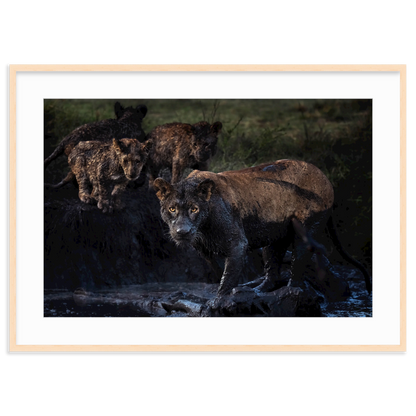 The Mud Clan by Merche Llobera