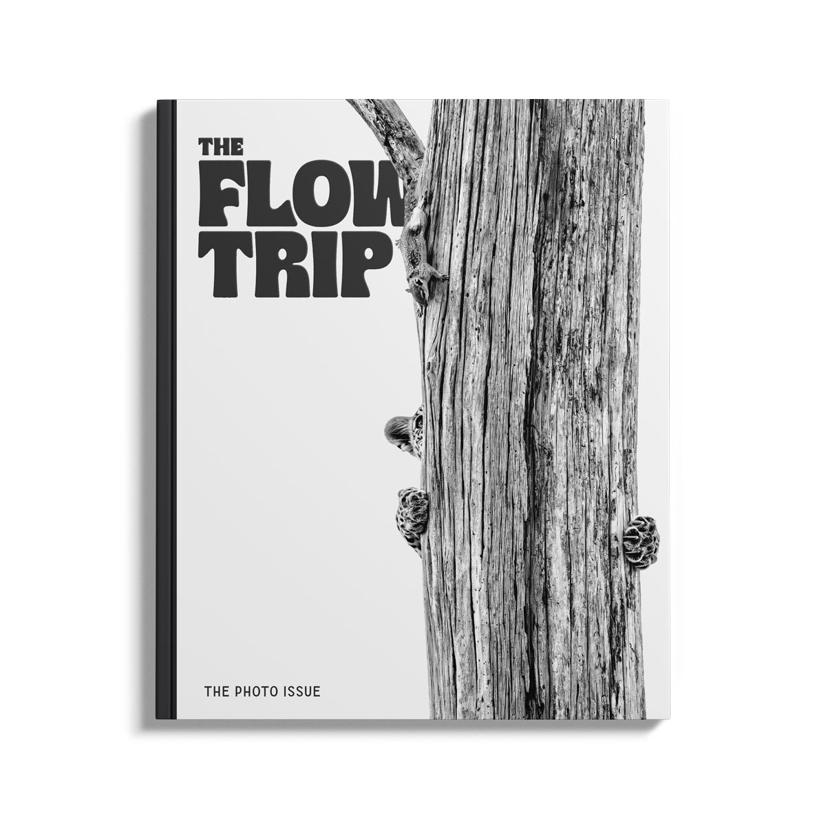 The Photo Issue 02.03