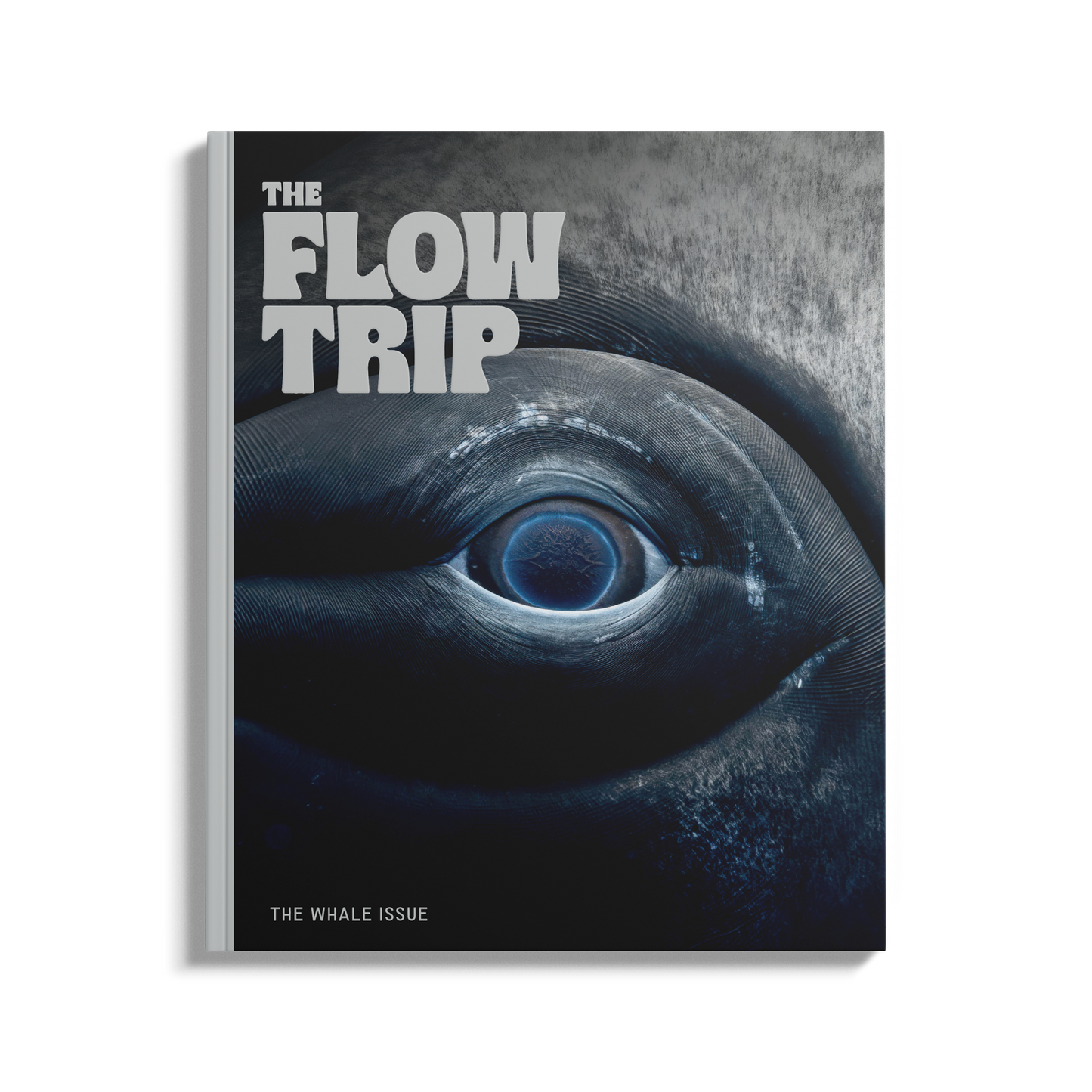 The Whale Issue 02.04