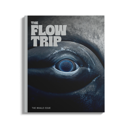 The Whale Issue 02.04