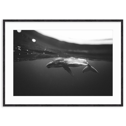 Weightless Wonder by Raja Iliya