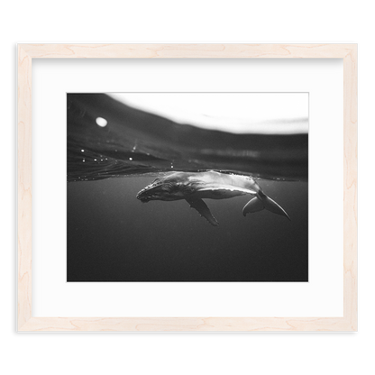 Weightless Wonder by Raja Iliya