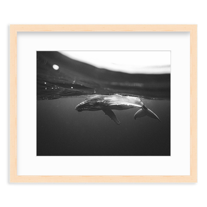 Weightless Wonder by Raja Iliya