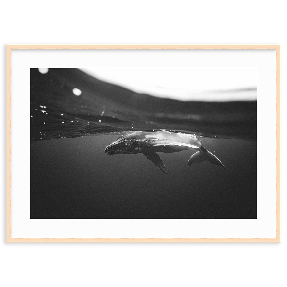 Weightless Wonder by Raja Iliya