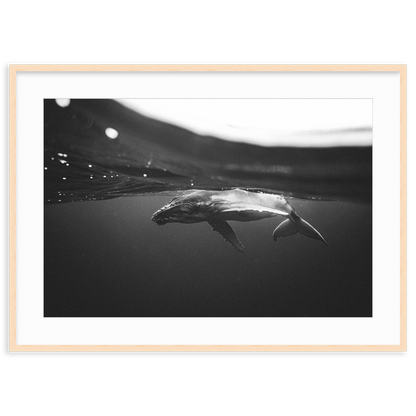 Weightless Wonder by Raja Iliya
