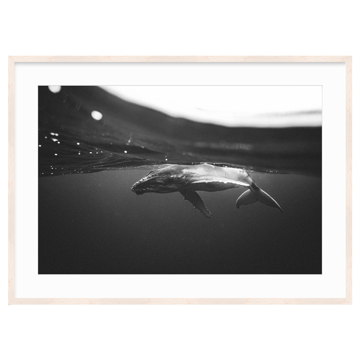 Weightless Wonder by Raja Iliya