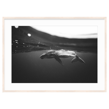 Weightless Wonder by Raja Iliya