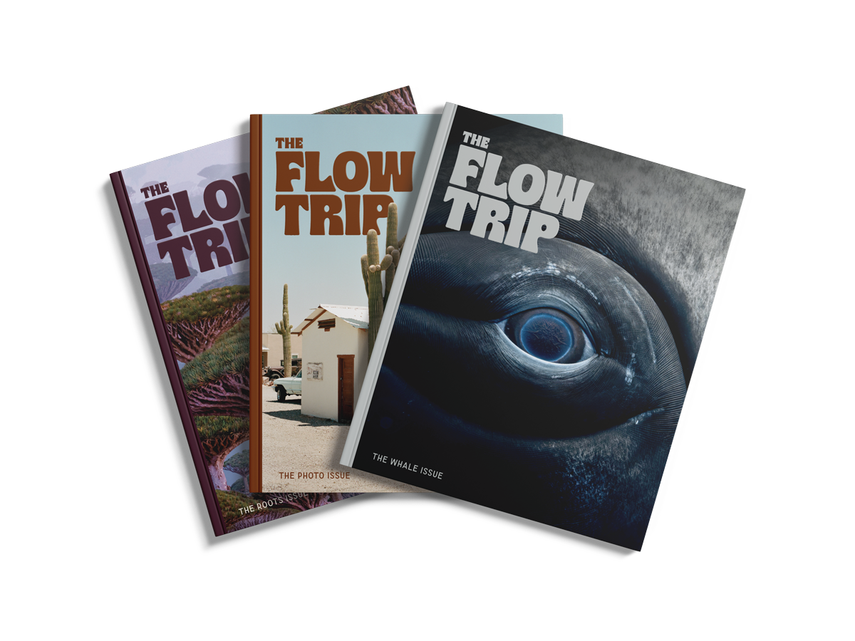 Subscribe to The Flow Trip