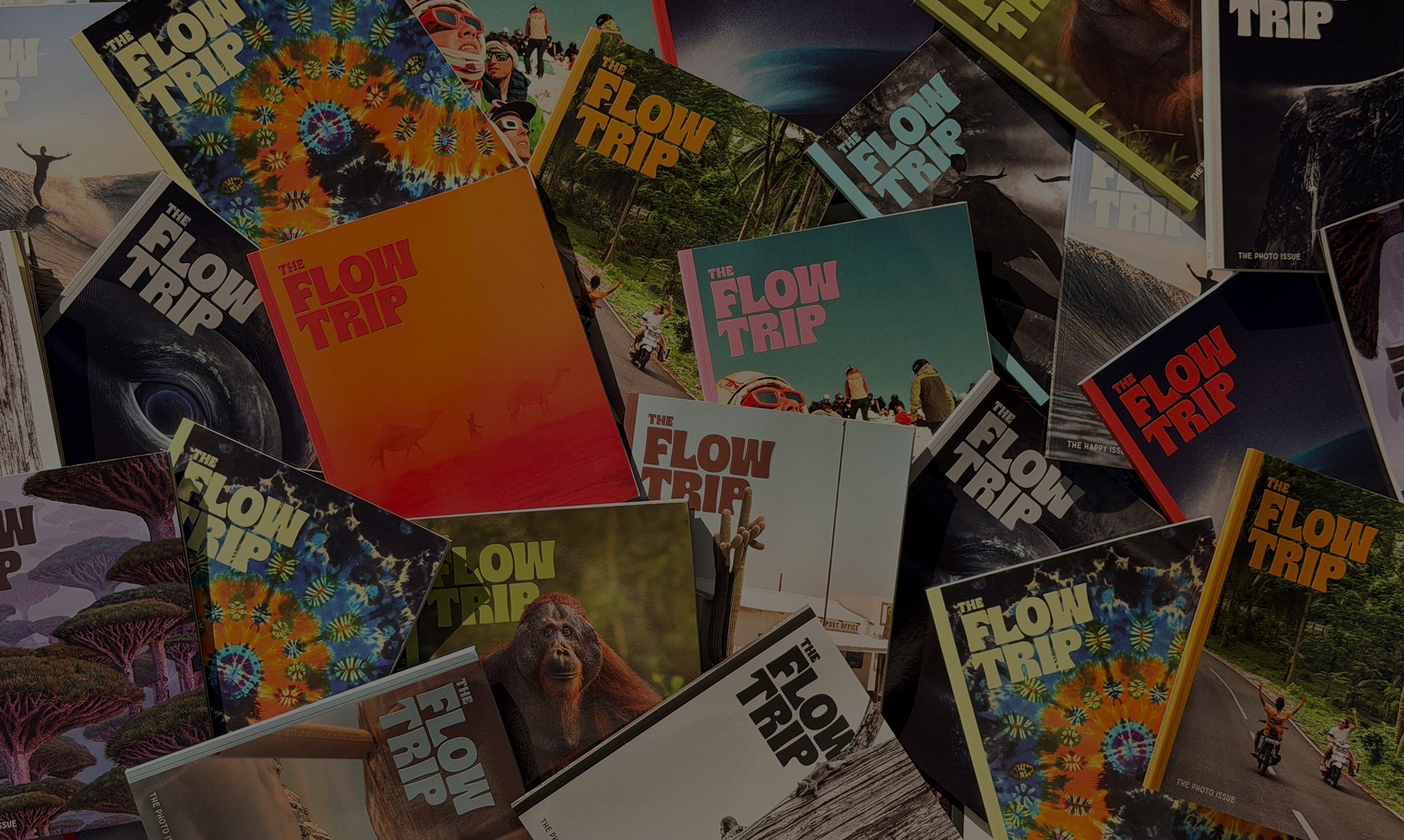 The Flow Trip